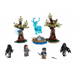 75945 LEGO® HARRY POTTER™ Expecto Patronum