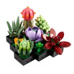10309 LEGO® CREATOR Succulents