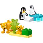 10442 LEGO® DUPLO® Wild Animal Families: Penguins & Lions