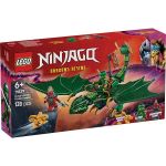 71829 LEGO® NINJAGO Lloyd's Green Forest Dragon