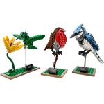 21301 LEGO®Ideas Birds