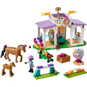 41746 LEGO® FRIENDS Horse Training