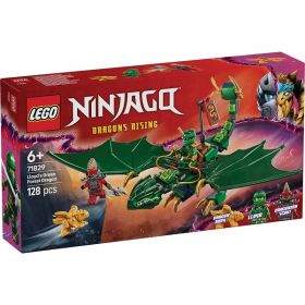 71829 LEGO® NINJAGO Lloyd's Green Forest Dragon