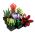 10309 LEGO® CREATOR Succulents