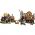 10332 LEGO® ICONS Medieval Town Square