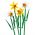 40747 LEGO® BOTANICAL COLLECTION Daffodils