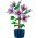 10372 LEGO® BOTANNICALS Hibiscus